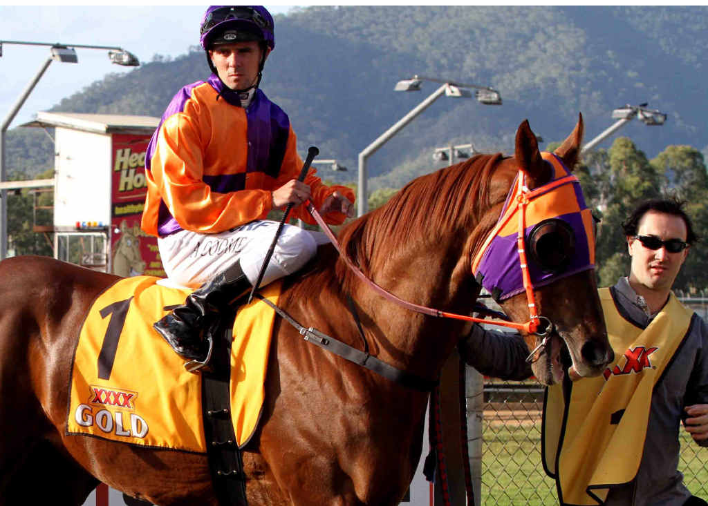 GREAT STATS: Our Boy Malachi is unbeaten at Rockhampton and has won 13 of his 15 starts. GREAT STATS: Our Boy Malachi is unbeaten at Rockhampton and has won 13 of his 15 starts.